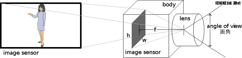 �J���������Y�ƃZ���T�[